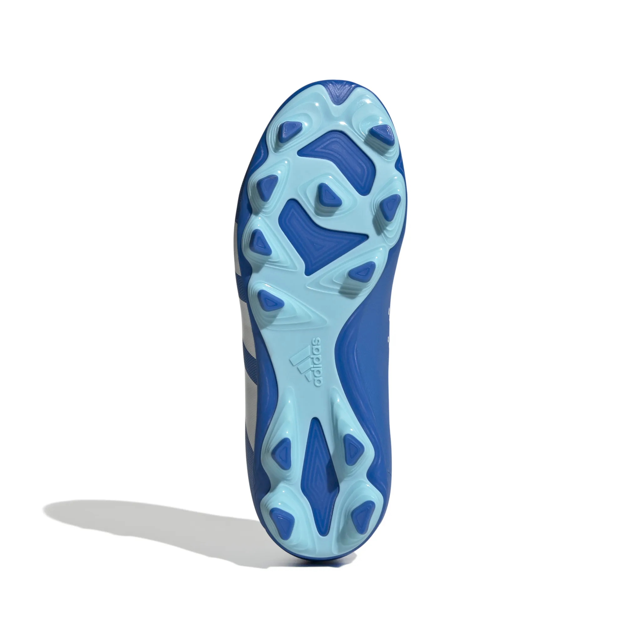 Adidas Predator Accuracy.4 FxG Jr (Blue/White)