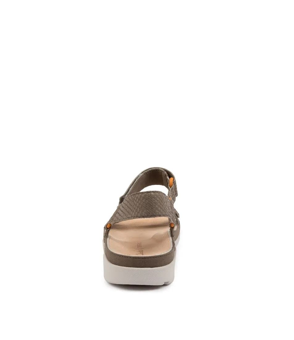 CLARKS Tri Sporty Sage Snake Lth