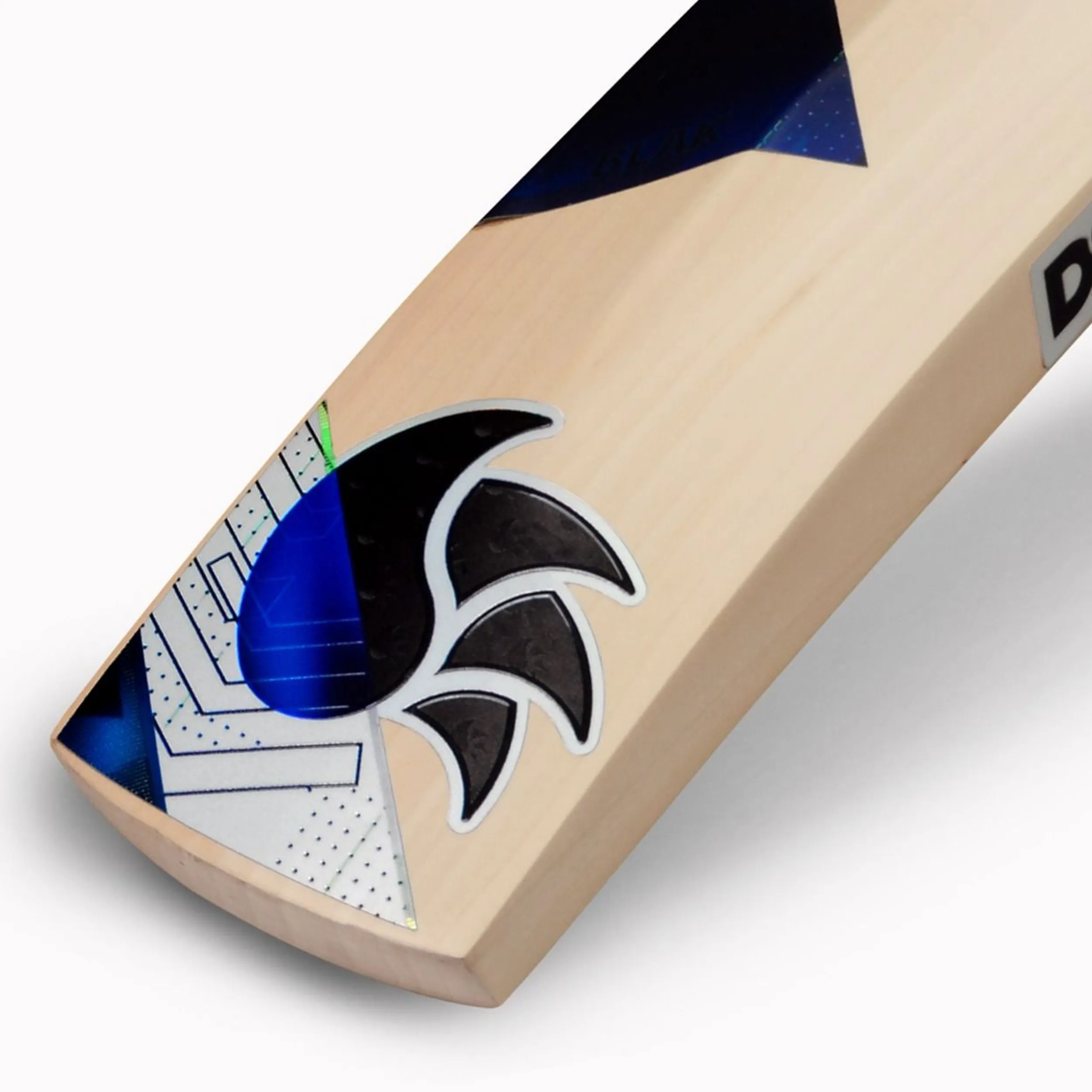 DSC BLAK 300 English Willow Cricket Bat -SH