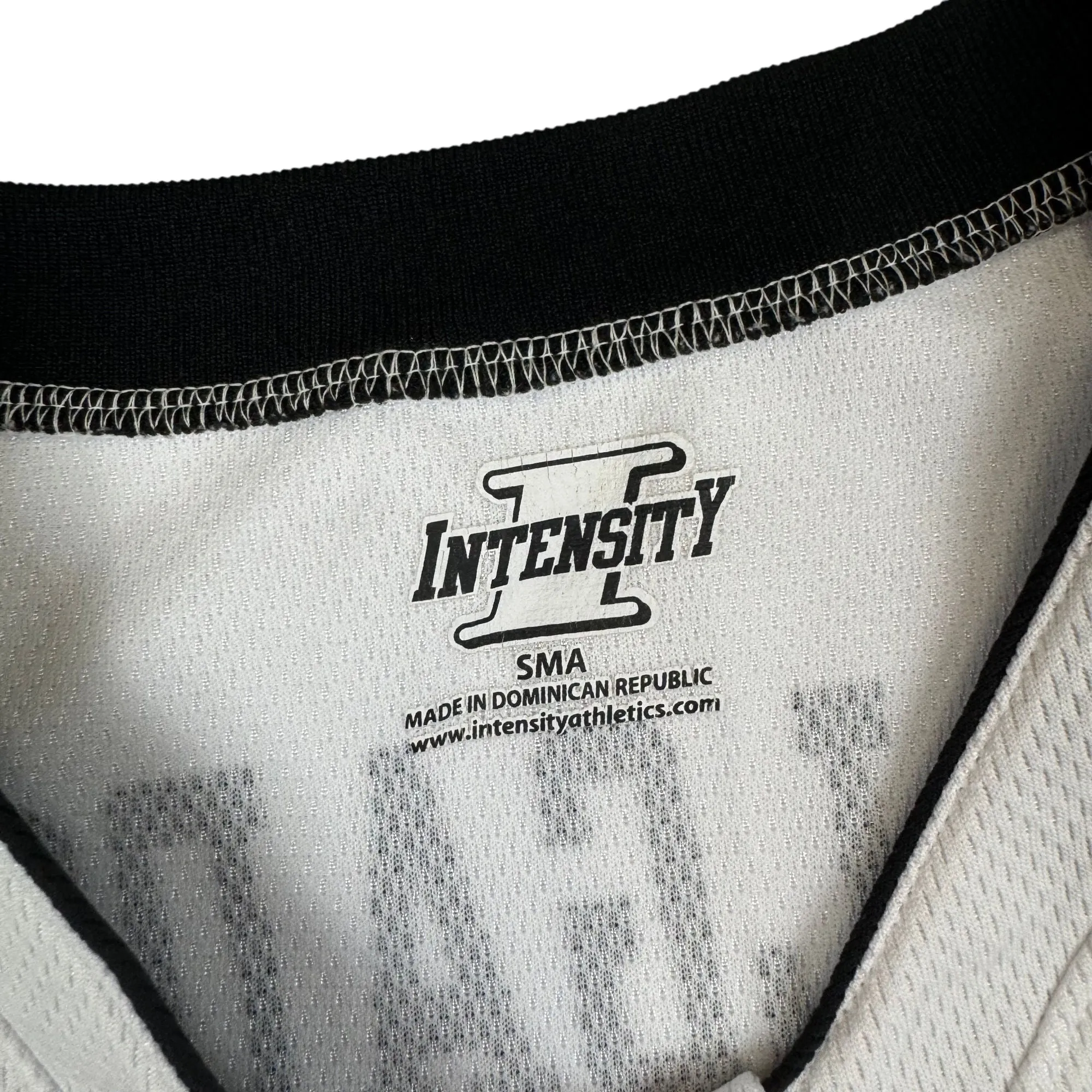 Intensity Wildcats Basketball 22 Jersey White Black