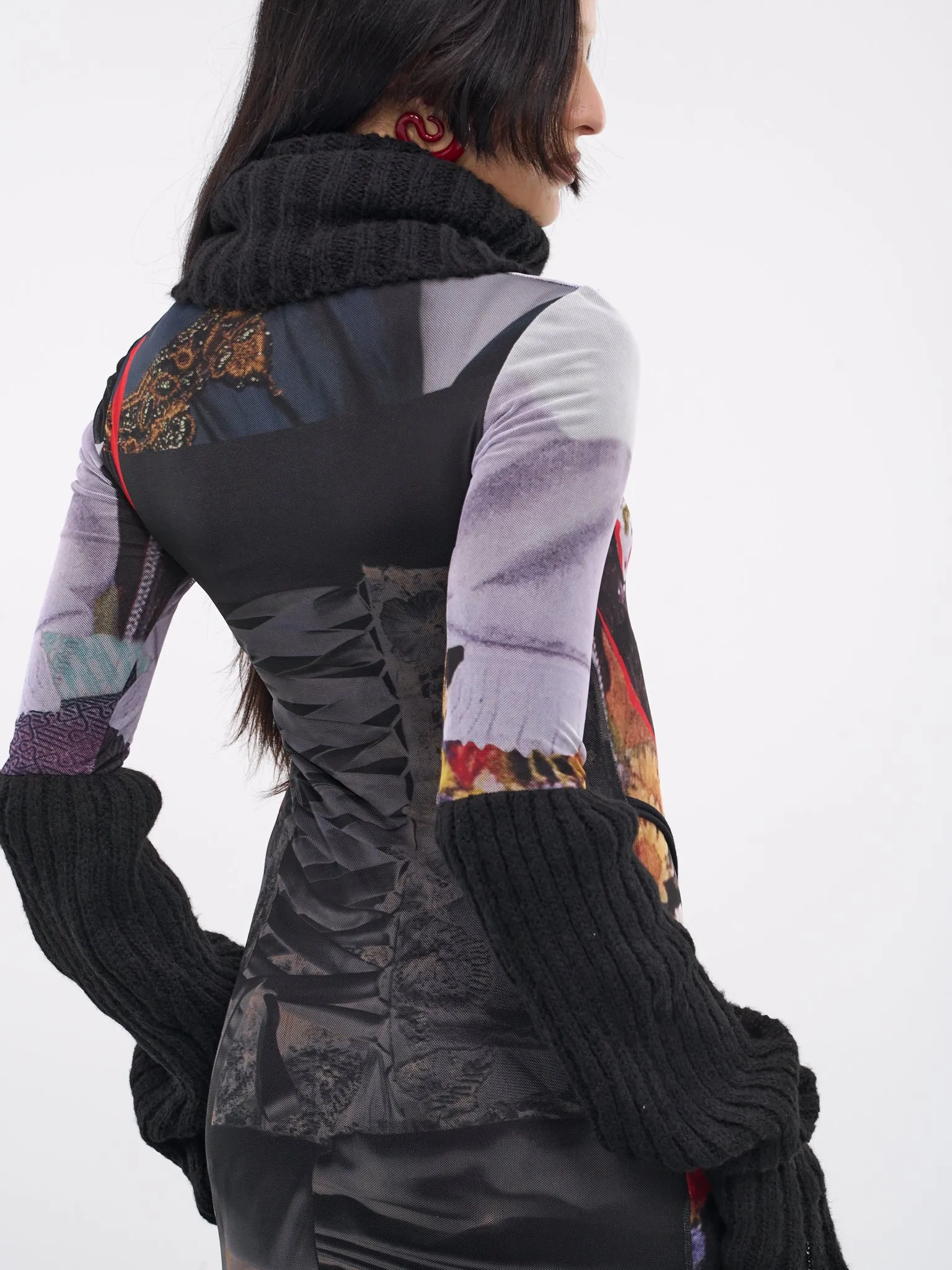 Mesh Turtleneck Dress (1010302721-DIRNDL-PRINT-MULTI)