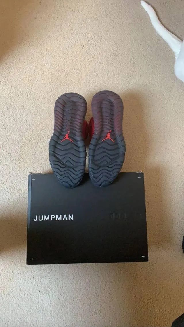 Nike Air Jordan Proto-Max 720 Bred