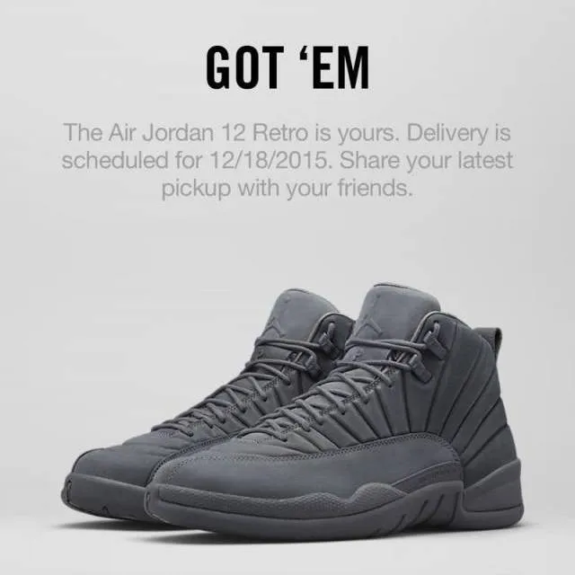 Nike Air Jordan Retro 12 PSNY