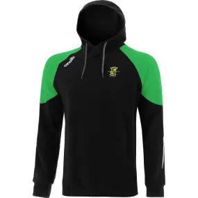 Park United AFC Oslo Fleece Overhead Hoodie