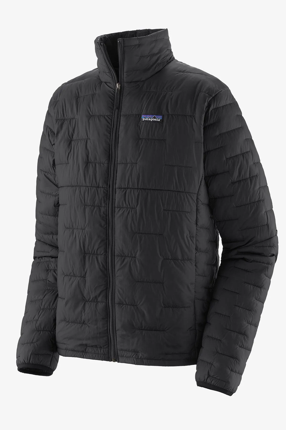 Patagonia Mens Micro Puff Jackets, Black