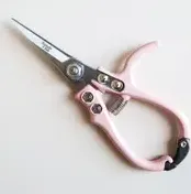 Pruning Shears - Pink