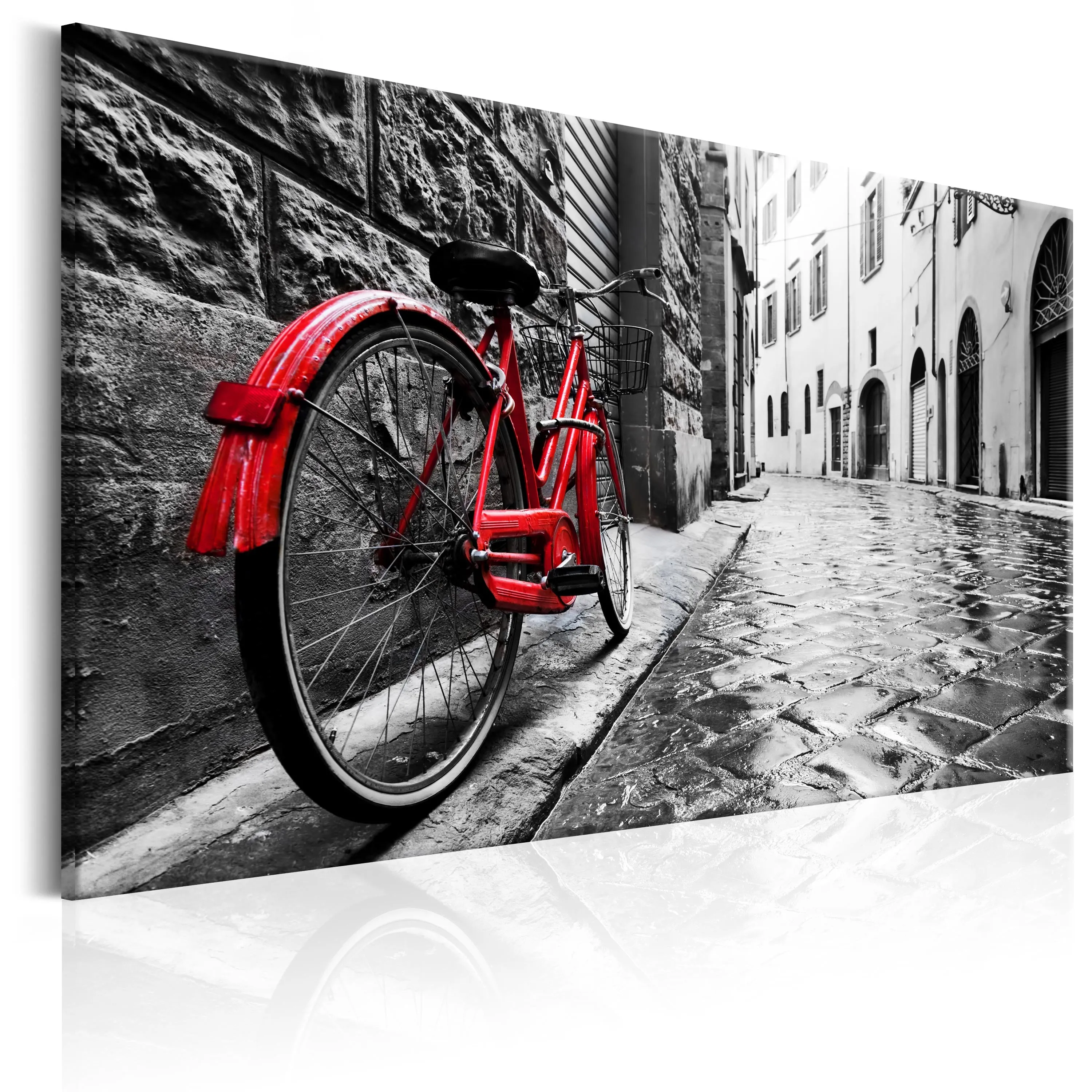 Quadro Vintage Red Bike