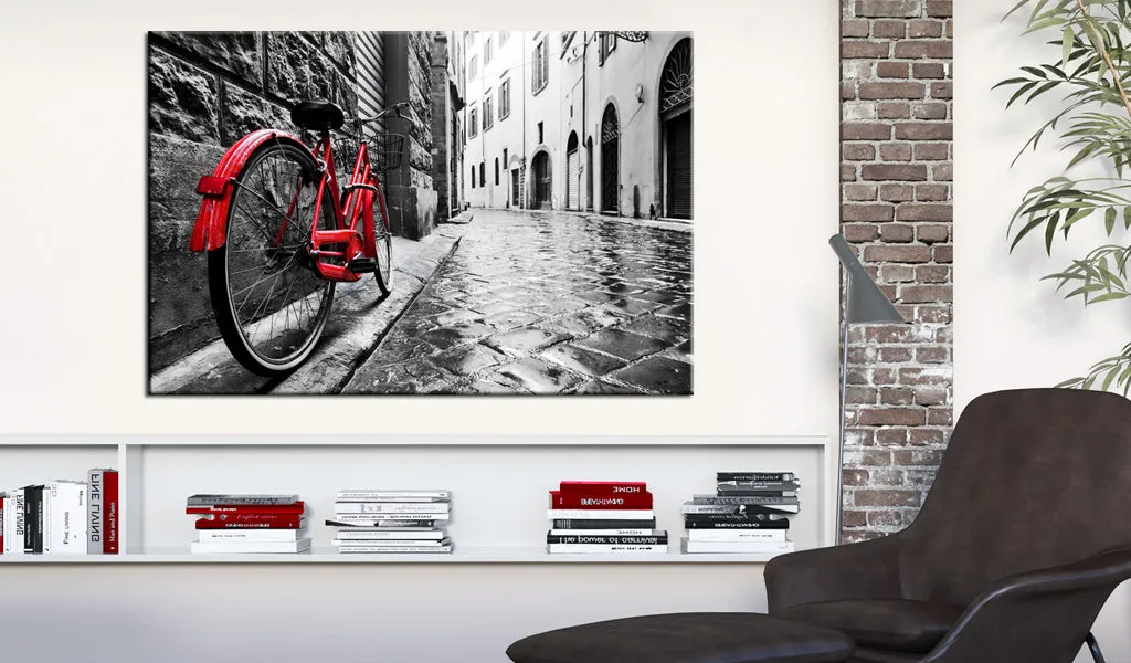 Quadro Vintage Red Bike