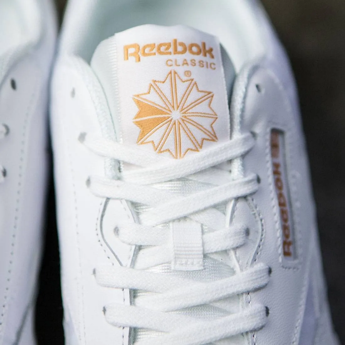 Reebok Men CL Nylon - Arch (white / black)