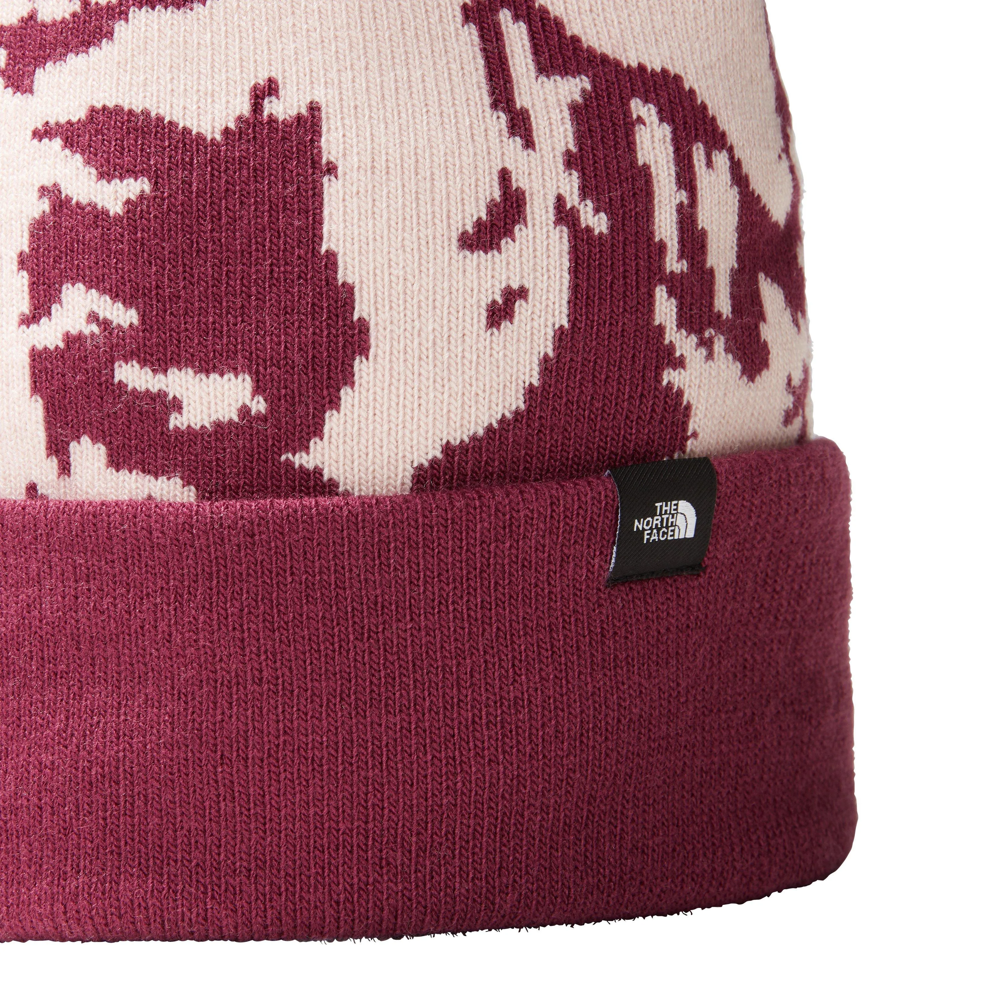 The North Face Women's Ski Tuke Beanie - Purple | George Fisher