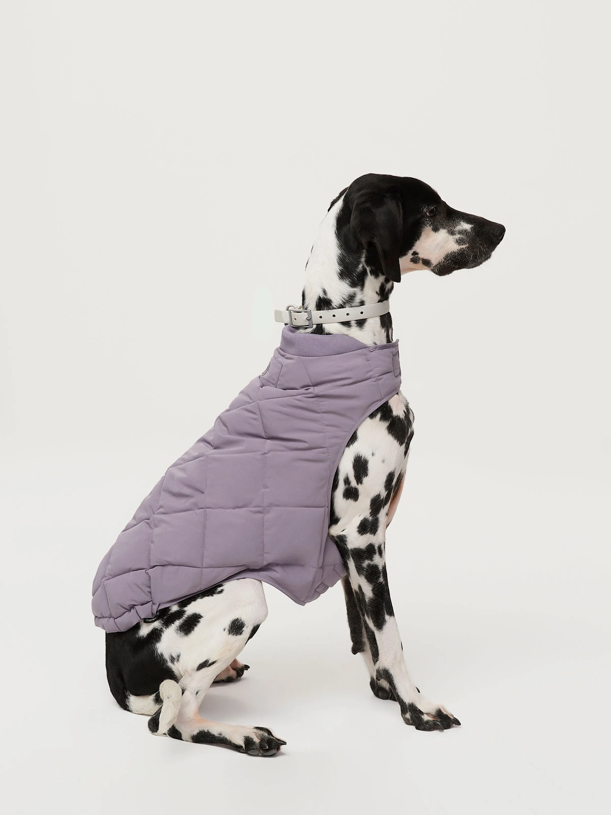 The Skyline Dog Jacket in Slate Violet