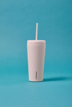 Traveler 25 oz Insulated Tumbler with Lid and Straw