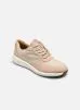 Un Rio Sprint par Clarks